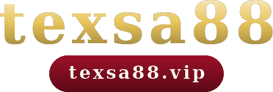 texsa88 logo